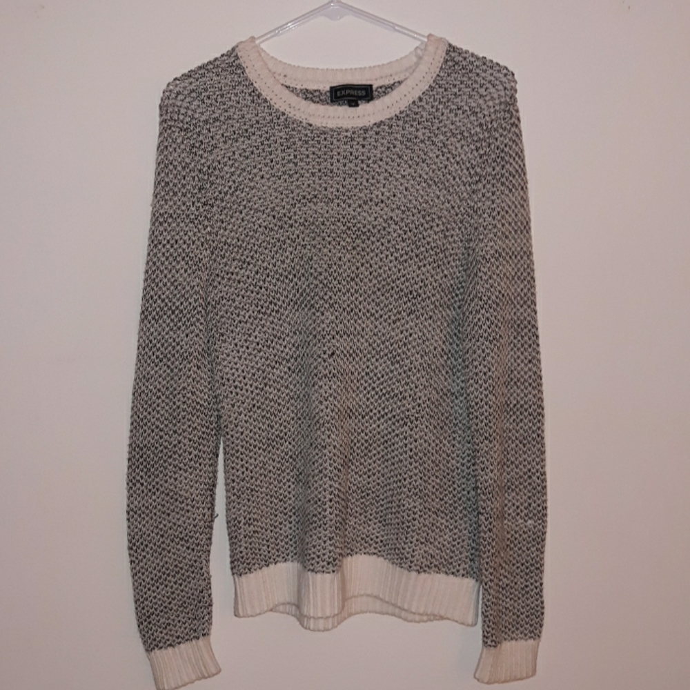 Express Mens sweater